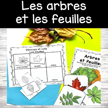 Preview of Les feuilles et les arbres à l'automne French sciences outdoor learning