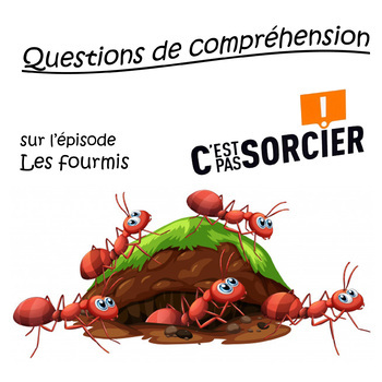 Preview of Les fourmis - Compréhension