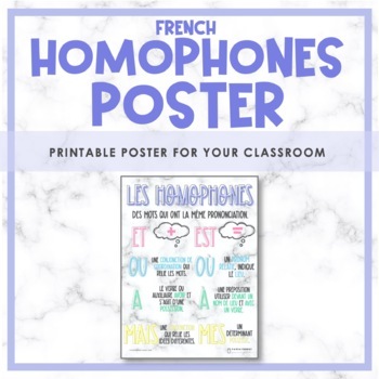 Preview of Les homophones | French Homophones Poster