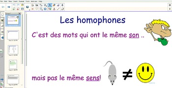 Preview of Les homophones - Smart Notebook