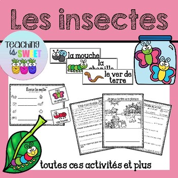 Les insectes by Teaching is Sweet | TPT