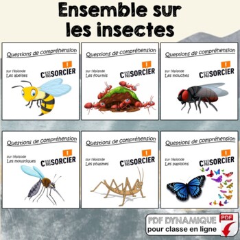 Preview of Les insectes - Ensemble de compréhensions