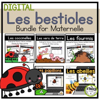 LES INSECTES  Science and nature, French teaching resources