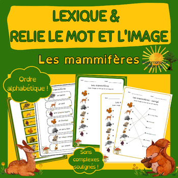 Preview of Les mammifères - Lexique et Relie l'image au mot - *French/en français*