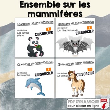 Preview of Les mammifères - Ensemble de compréhensions
