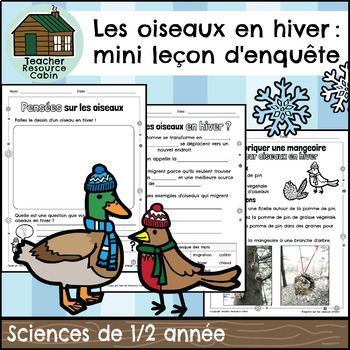 Preview of Les oiseaux en hiver - Winter Birds Inquiry (Grade 1/2 FRENCH Science)