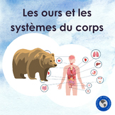 Les ours et les systèmes du corps - a study of human body 