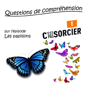 Preview of Les papillons - Compréhension