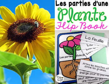 Preview of Les parties d'une plante - Flip Book
