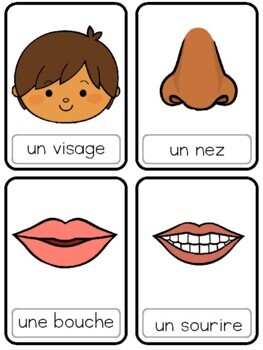 French Vocabulary Illustrated: cache-nez