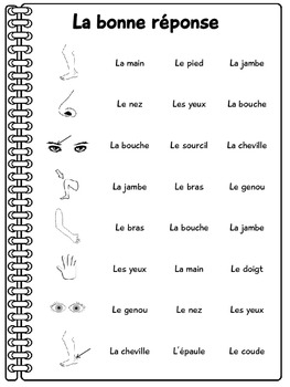 1 worksheets for grade body free parts AnaSantos Activities by Les  TpT corps  French parties  du
