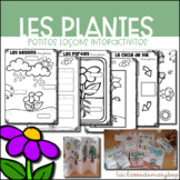 Les plantes - Petites leçons interactives