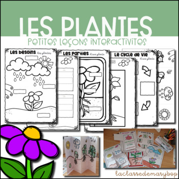 Preview of Les plantes - Petites leçons interactives