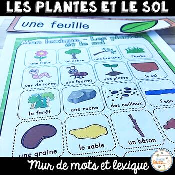 Preview of Les plantes et le sol - Vocabulaire et lexique - French Plants and Soil