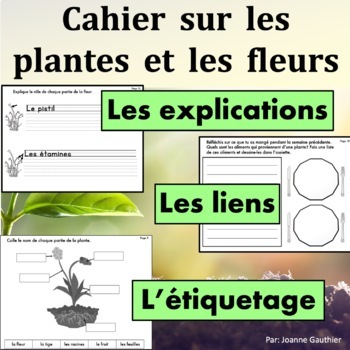 Preview of Les plantes et les fleurs: cahier d'exercices