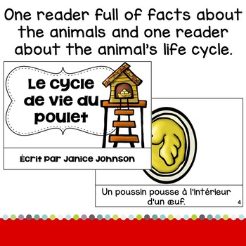 Les poulets Le cycle de vie du poulet French Chickens Reader ...