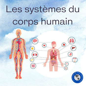 Les systèmes du corps humain - 6e année sciences by La classe de Mme ...