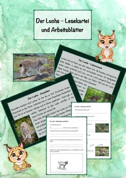 Preview of Lesekartei und Arbeitsblätter Luchs, reading cards and worksheets bobcat German