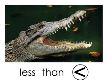 Less Than, Greater Than...Alligator Mouth Symbols by Montessori Mac