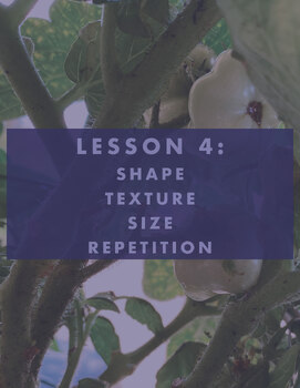 Preview of ACP Premiere Pro Prep – Lesson 1.4 - Shape, Texture, Size, and Repetition