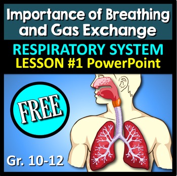Preview of Respiratory System Lesson 1 - Editable Interactive PowerPoint {FREE}