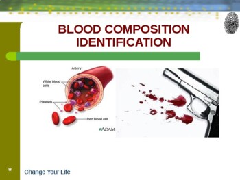 Preview of Lesson - Blood Composition (Power Point)