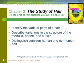 Preview of Lesson - Hair (Power Point)