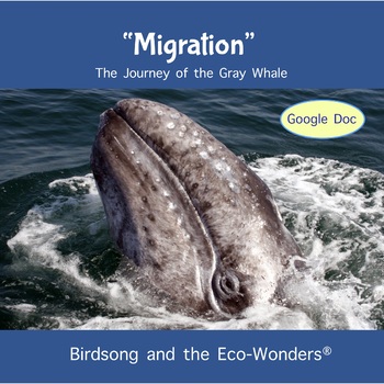 Preview of Lesson - "Migration" (Gray Whales) - Google Doc -Interactive and editable