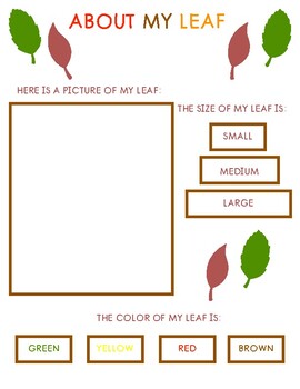 Lesson Plan: Leaf Walk & About My Leaf Worksheet by Bunny Loves Learning