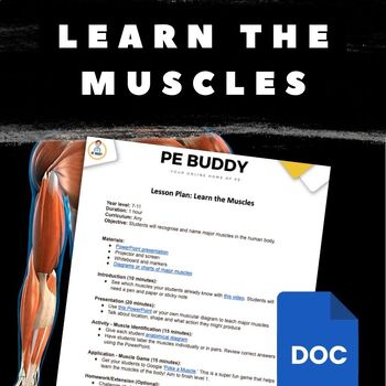 Preview of No Prep Lesson Plan: Learn the Muscles | Year 7-11