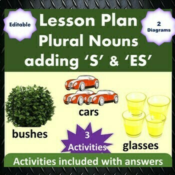 Preview of Lesson Plan Plural Nouns adding S and ES