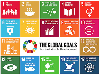 Preview of Multi-Day Lesson Plan: UN 2030 Sustainable Goals (E Learning Friendly)