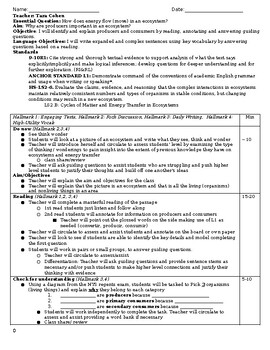 Preview of Lesson plan and worksheets Aim: Why are producers important in an ecosystem?