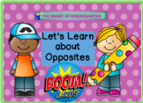 Let's Learn About Opposites~Boom Cards