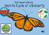 Let's Learn About the Life Cycle of a Butterfly~Boom Cards