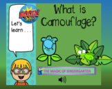 Let's Learn~ What is Camouflage? (Boom Cards)