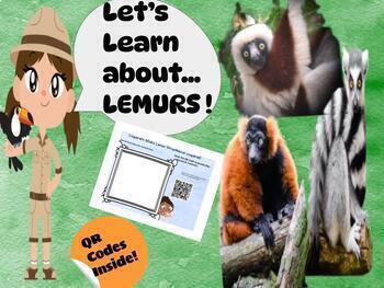 Preview of Let's Learn about 4 Species of Lemur: A Research Journal