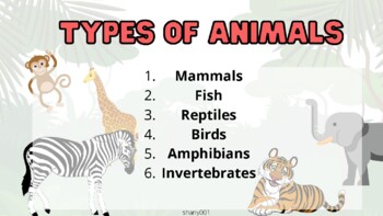 Let's Learn about Zoo Animals by shany001 | TPT