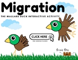 Let's Migrate! A Kindergarten Adventure in Animal Movement