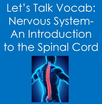 Preview of Let's Talk Vocab...Nervous System- An Introduction to the Spinal Cord (Anatomy)