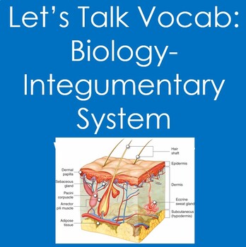 Preview of Let's Talk Vocab...Biology: The Integumentary System worksheet