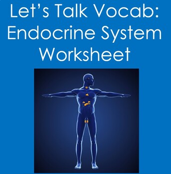 Preview of Let's Talk Vocab...Endocrine System Worksheet (Anatomy, Biology)
