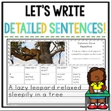 Detailed and Complete Sentence Writing Activity