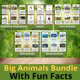 Let's learn All about Animals. Big Bundle With Fun Facts.