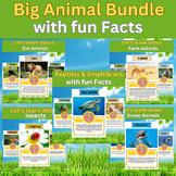 Let's learn All about Animals. Big Bundle With Fun Facts f
