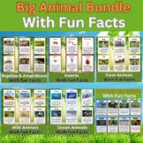 Let's learn All about Animals. Big Printable Flashcards Bundle.