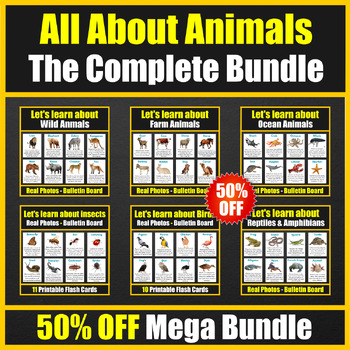 Preview of Let's learn All about Animals: Flash cards With Informational Texts -Mega Bundle