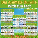Let's learn All about Animals in French. Big Bundle With F