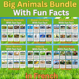 Let's learn All about Animals in French. Big Bundle With F
