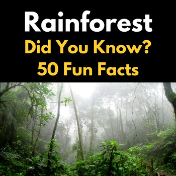 Let's learn about The Rainforest : Did You Know 50 Facts for kids by ...